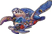 Turtles and Tortoises