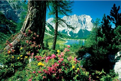 Tyrol Landscape