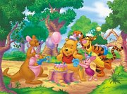 Winnie the Pooh Celebrates His Birthday