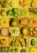Yummy Yellow
