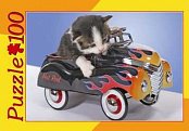 Cat Racer