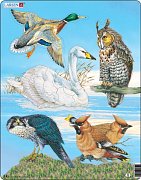Complete - Birds