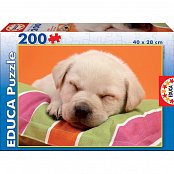 Sweet Puppy
