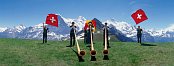 Swiss Alphorn Players