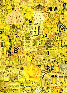 Yellow Rose